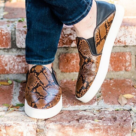 VINCE    - Picture 1 of 7